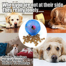 Interactive Dog Toys, Dog Chew Toys Ball for Small Medium Dogs, Iq Treat Bo A3L4