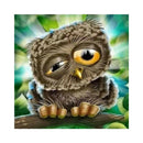 Naughty Owl 5D Diamond Painting Embroidery Cross Stitch Kit Home Room Decor