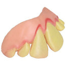 10pcs Ugly Teeth Halloween Party Prop Costume Random Type Q9H3