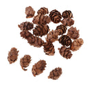 50 Pieces Natural Decorative Pine Cones Pinecone Dried Flowers for Christmas
