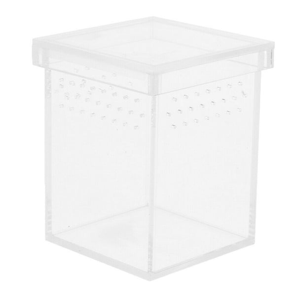 Reptile & Amphibian Transport Feeding Breeding Box Insect Live Food Box