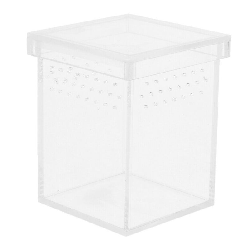 Reptile & Amphibian Transport Feeding Breeding Box Insect Live Food Box