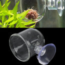 Pinhole Pot Plant Feeding Cup Holder Shrimp Aquarium Fish Tank Aquatic Feeder 3C