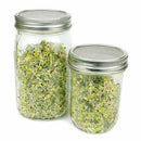4Pcs/Set Stainless Steel Sprouting Lid For Wide Mouth Mason Jars Canning Ja L9S6