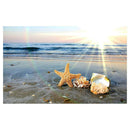5D DIY Full Drill Diamond Painting Beachside Shell Cross Stitch Embroidery