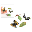 3x Realistic Nature Life Cycle Animal Growth Child Education Toys
