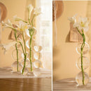 Glass Flower Vase Glass Planter Container for Bedroom Living Room 4 Balls