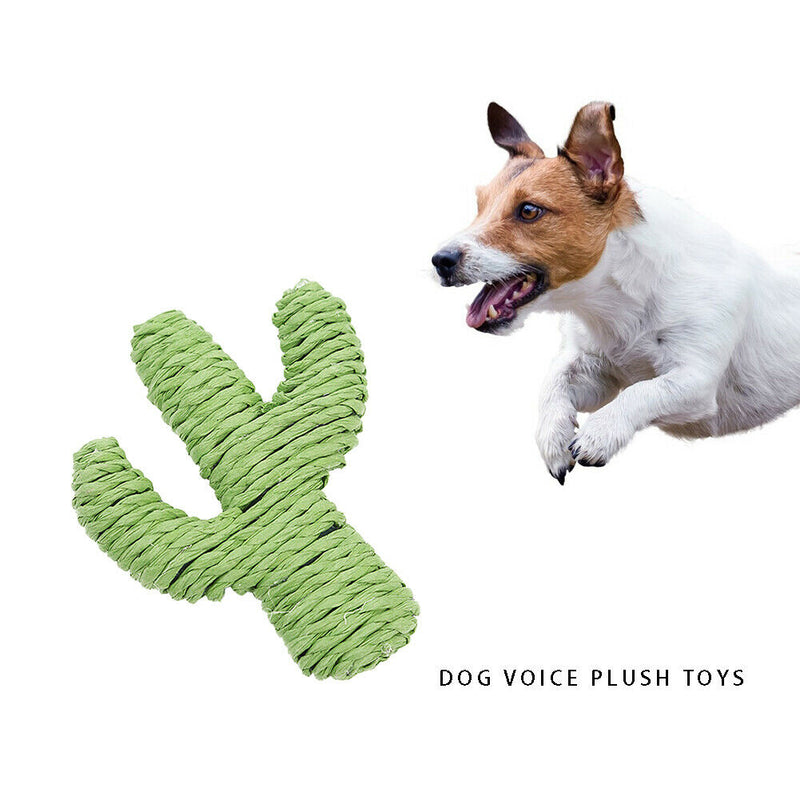3pcs/set Rope Cactus Funny Dog Cat Molar Chew Bell Sound Toys Pet Supplies