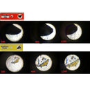 Prepared Plastic Microscope Slides Animals Insects Flowers Plants Student