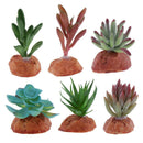 6PCS Aquarium Fish Tank Plants Succulents Reptile Hideaway Decoration - Reptile