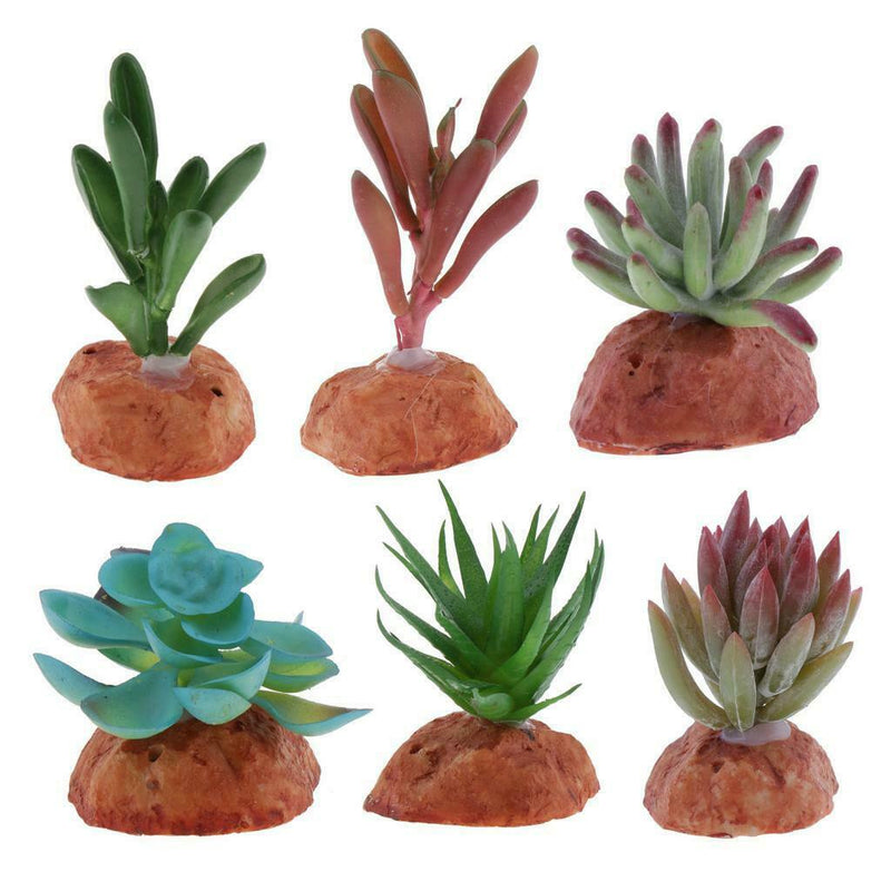 6PCS Aquarium Fish Tank Plants Succulents Reptile Hideaway Decoration - Reptile