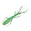Summer Insect Statue Tree Lawn Ornament DIY Animal Sculpture Decor
