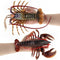 Realistic Solid Underwater World Animals Models Lifelike Large Size Lobster U4B9