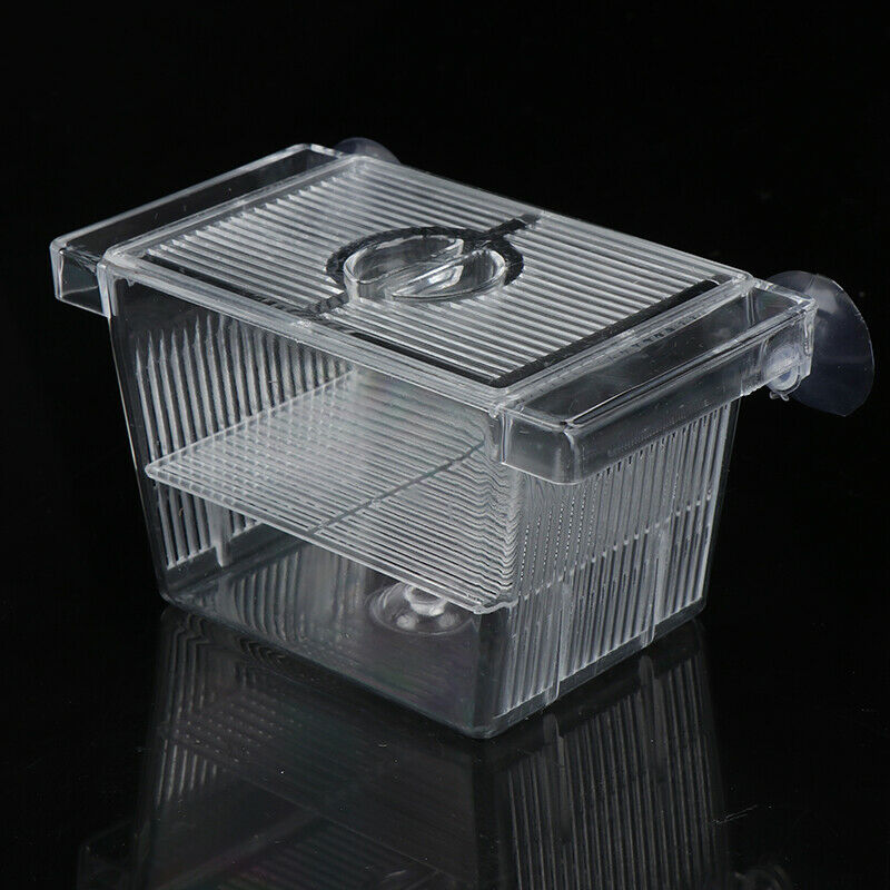 Acrylic Fish Tank Breeding Isolation Box Aquarium Hatchery Incubator HolderS Ew