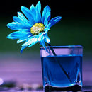5D Diy Diamond Embroidery Blue Flowers Cross Stitch Full Diamond Landcape D O5E2