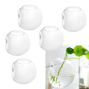 5 Pack Wall Hanging Vase Glass Flower Plant Terrarium Planters, Ball, 10cm
