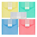 25 Pack Plastic Clear Document Folder with Label Pocket/Snap Button Closure