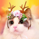 Pet Antlers Headwear Christmas Party Cat Head Decoration with Flowers S/M S