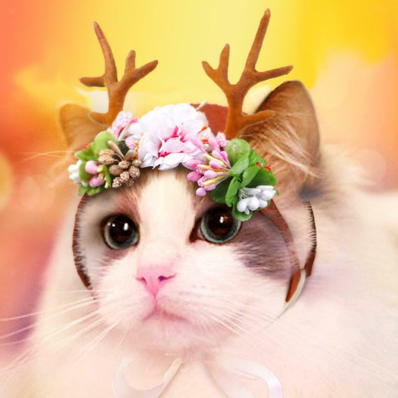 Pet Antlers Headwear Christmas Party Cat Head Decoration with Flowers S/M S