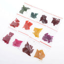 24 Dye Colors for 48 gram of Wax - Candle Wax Dye - A Great Choice of Colors -