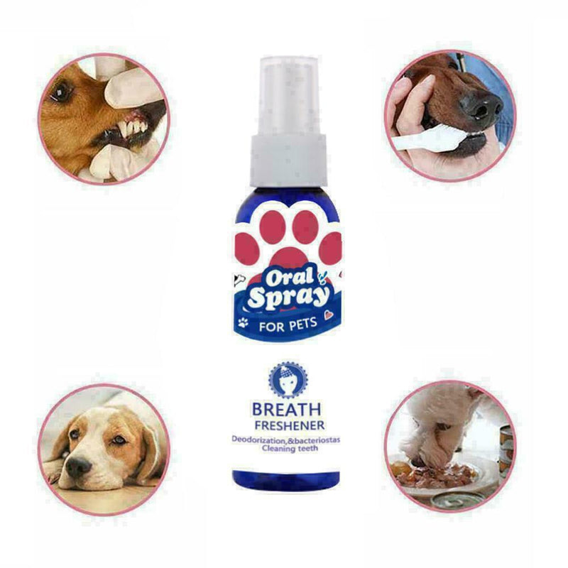 Care Oral Hygiene Non-toxic Teeth Cleaner Mouthwash Pet New Breath Oral Fre O0Z5