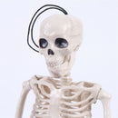 Posable Skeleton Halloween Decor Scary Man Bone Creepy Party Decor FE FT