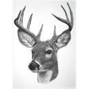 5D DIY Full Drill Diamond Painting Animal Head Cross Stitch Mosaic (K475)