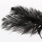1920s Flapper Feather Headband/Women Rhinestone Beaded Headpiece/Bohemian Style