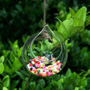 Hanging Glass Flower Planter Vase Bottle Terrarium Container Home Ball Decor