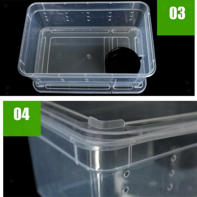 2pcs Reptile Water Feeding Box Turtle Feeding Tank Lizards Tortoise Supplies