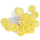 1x 20LEDs Lemon Shape Fairy String Lights Warm White Strip Light Home Decorat BX