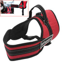 Adjustable Safety Car Seat Belt Sports Walking Pet Dog Chest Harness Set Red M