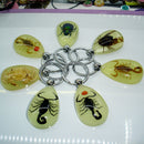 Scorpion Glow Lucite Keyring Keychain Insect Jewelry Taxidermy Gift 3C