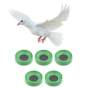 10x Practical Pigeon Dehumidification Supplies Breeding Bird Egg
