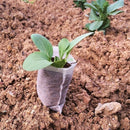 Biodegradable Non-woven Nursery Bags Plant Grow Bags Eco Friendly Planting S Ew