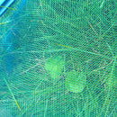 Pool Leaf Net Swimming Pool Rake Spa Skimmer Koi Pond Pools Fish Cleaning