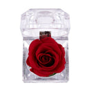 Acrylic Jewelry Box Ring Box with Red Rose for Wedding Birthday C8O2
