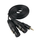 Unbalanced 3.5 mm (1/8Inch) Mini Jack Stereo TRS to Dual XLR 3 Pin Female