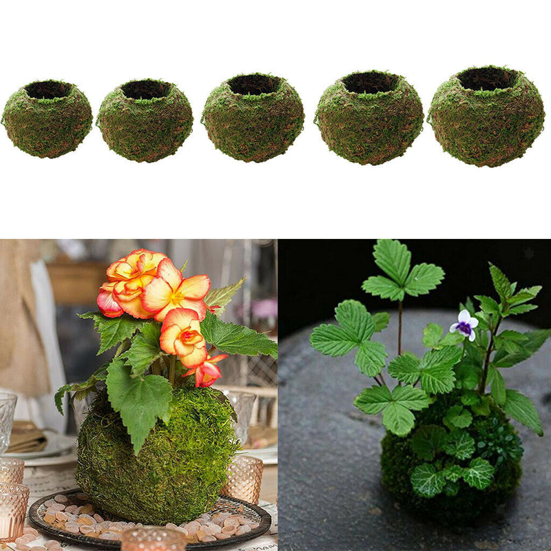 6~18cm Creative Moss Ball Flower Pot Planter Bonsai Plant Holder Home Garden, 5