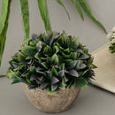 Plastic Artificial Potted Plants Green Grass -13cm / 5.12''(Height)-Purple