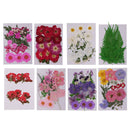 8Pack Mixed Pressed Dried Flowers Leaves for Scrapbooking Wedding Decoration