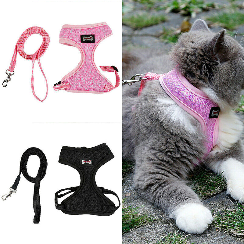 Set of 2, Pet Cat Kitten Soft & Comfy Made Well 120cm/3.94ft Leash Puppy Dog