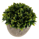 Plastic Artificial Potted Plants Green Grass -13cm / 5.12''(Height)-Green