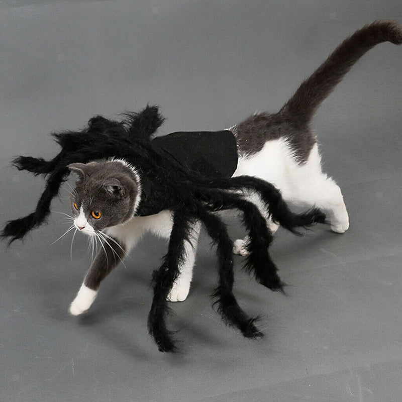Funny Spider Style Pet Cat Dog Costume Clothes for Small Pet Cat Dog Puppy