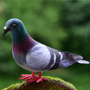 Set of 6 Doves Realistic Feathered Artificial Craft Birds Garden Yard Lawn Decor