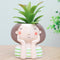 4pcs Plants Pot Planter Pot Creative Small Planter
