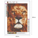 5D DIY Full Drill Diamond Painting Lion Embroidery Mosaic Craft Kit (hg406)