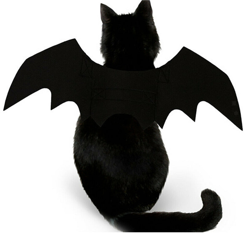 Pet Cats Bat Wings Kittens Black Bat Transfiguration Halloween Cat Costume