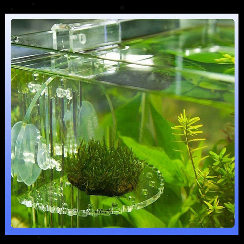 Fish Tank Water Plants Vase Holder,Aquarium Platform Made of Strong Acrylic