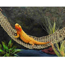 100% Natural Seagrass Reptile Hammock Lounger Anoles Geckos Iguanas Rectangle